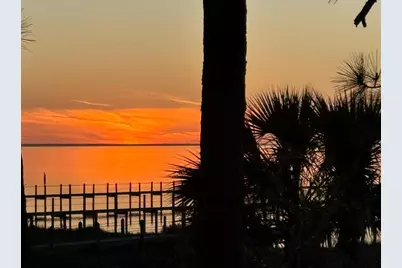 2019 Sand Dollar Trl, Saint George Island, FL 32328 - Photo 4