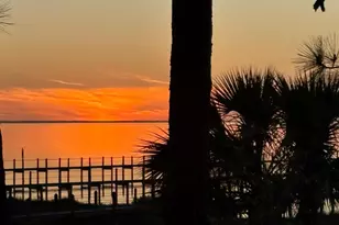 2019 Sand Dollar Trail, Saint George Island, FL 32328 - Photo 4