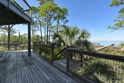 2019 Sand Dollar Trl, Saint George Island, FL 32328 - Photo 12