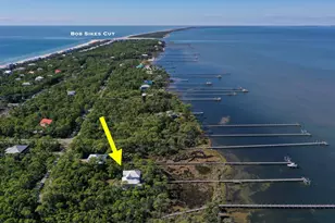 2019 Sand Dollar Trail, Saint George Island, FL 32328 - Photo 50