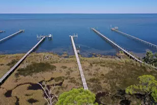 2019 Sand Dollar Trail, Saint George Island, FL 32328 - Photo 6