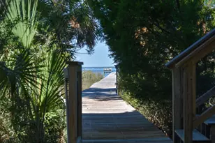 2019 Sand Dollar Trail, Saint George Island, FL 32328 - Photo 54