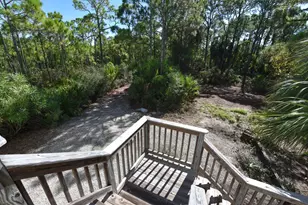 2019 Sand Dollar Trail, Saint George Island, FL 32328 - Photo 46