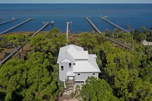 2019 Sand Dollar Trail, Saint George Island, FL 32328 - Photo 2