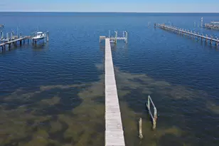 2019 Sand Dollar Trail, Saint George Island, FL 32328 - Photo 56