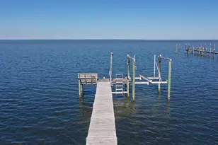 2019 Sand Dollar Trail, Saint George Island, FL 32328 - Photo 6
