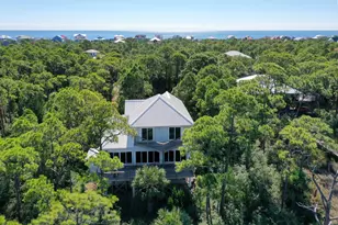 2019 Sand Dollar Trail, Saint George Island, FL 32328 - Photo 10