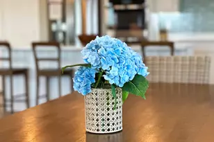 108 W Sand Dollar Wy, Cape San Blas, FL 32456 - Photo 14