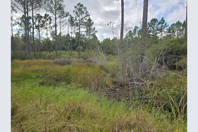 1845 Beacon St, Carrabelle, FL 32322 - Photo 6