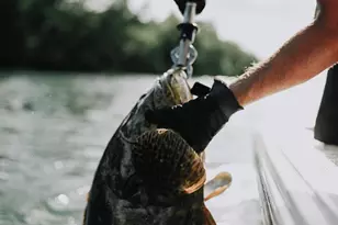 1120 15th St, Mexico Beach, FL 32456 - Photo 20