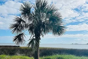 1002 Gulf Ave, Carrabelle, FL 32322 - Photo 28