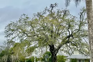 1011 Palm Blvd, Port Saint Joe, FL 32456 - Photo 38