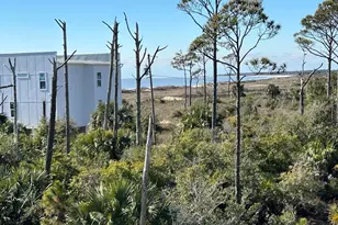 109 Curve Rd, Port Saint Joe, FL 32456 - Photo 32