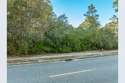 123 Laughing Gull Ln, Carrabelle, FL 32323 - Photo 2