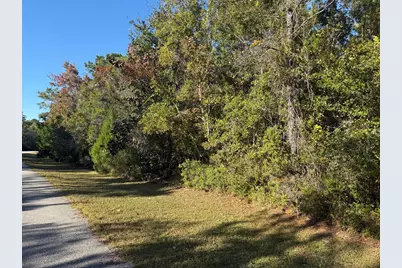 129 Water Oaks Way, Apalachicola, FL 32320 - Photo 4