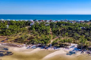 924 E Pine Ave, Saint George Island, FL 32328 - Photo 38