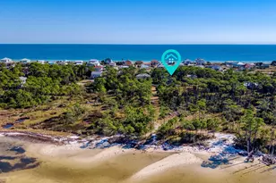 924 E Pine Ave, Saint George Island, FL 32328 - Photo 40