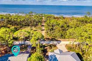 924 E Pine Ave, Saint George Island, FL 32328 - Photo 42