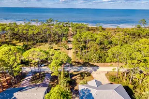 924 E Pine Ave, Saint George Island, FL 32328 - Photo 40