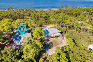 924 E Pine Ave, Saint George Island, FL 32328 - Photo 46