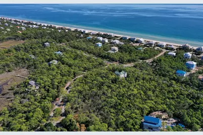 1935 Smugglers Cove Rd, Saint George Island, FL 32328 - Photo 2