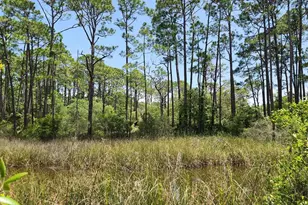 223 N Bayshore Dr, Eastpoint, FL 32328 - Photo 70