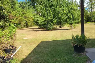 15817 SE Cr 69, Blountstown, FL 32424 - Photo 8