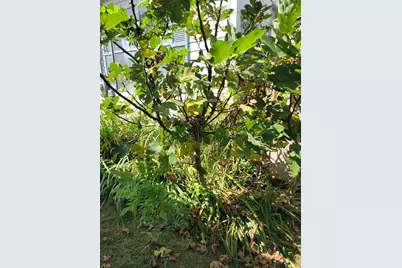 15817 SE Cr 69, Blountstown, FL 32424 - Photo 20