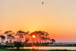 160 E Gorrie Dr, Saint George Island, FL 32328 - Photo 46