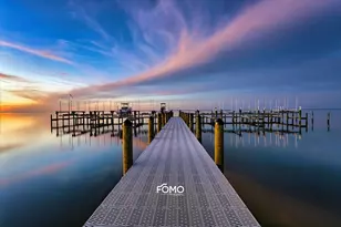 1629 Wayfarers Ct, Saint George Island, FL 32328 - Photo 12