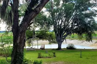 4686 Dunaway Rd, Bascom, FL 32423 - Photo 40