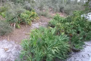 508 Tide Water Dr, Port Saint Joe, FL 32456 - Photo 40