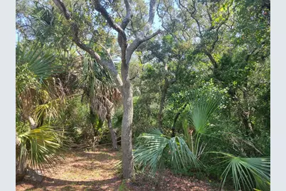 457 E Gulf Beach Dr, Saint George Island, FL 32328 - Photo 2