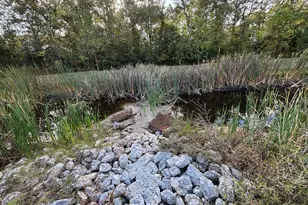 276 The Prado, Apalachicola, FL 32320 - Photo 36