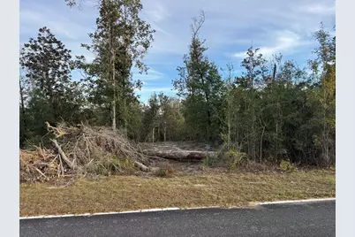 Lot 7 SE Cypress Point Rd, Kinard, FL 32449 - Photo 1