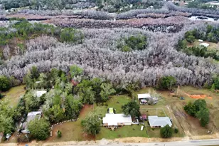 365 Jehu Rd, Wewahitchka, FL 32465 - Photo 6