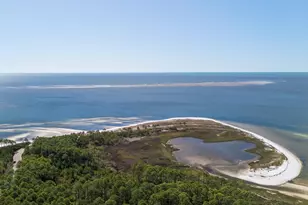 125 Lightning Bug Ln, Saint Teresa, FL 32358 - Photo 58