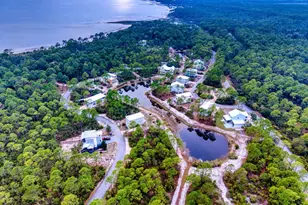 125 Lightning Bug Ln, Saint Teresa, FL 32358 - Photo 56