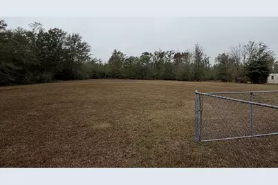 167 Annie Ave, Wewahitchka, FL 32465 - Photo 4