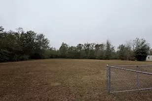 167 Annie Ave, Wewahitchka, FL 32465 - Photo 4