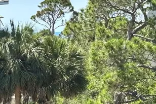 1804 Suzie Ct, Saint George Island, FL 32328 - Photo 44