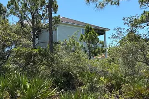 1804 Suzie Ct, Saint George Island, FL 32328 - Photo 48