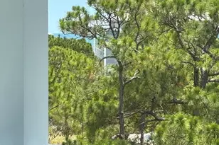 1804 Suzie Ct, Saint George Island, FL 32328 - Photo 56