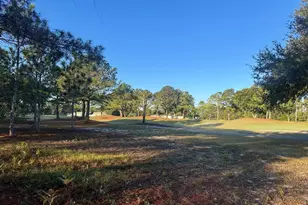 269 Royal Tern Way, Carrabelle, FL 32322 - Photo 1