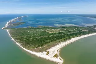 139 Lantana St, Cape San Blas, FL 32456 - Photo 76