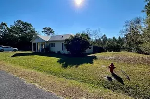 303 Angela Ct, Wewahitchka, FL 32465 - Photo 8