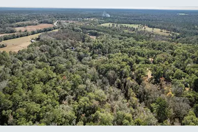 1407 Shady Rest Rd, Havana, FL 32333 - Photo 16