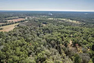 1407 Shady Rest Rd, Havana, FL 32333 - Photo 16