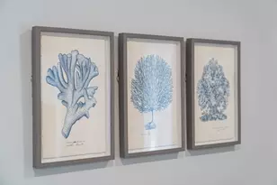 2503 Hwy 98, Mexico Beach, FL 32456 - Photo 44