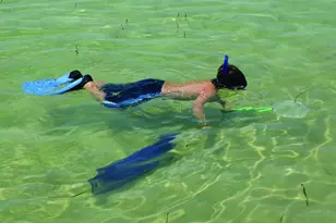 212 Twelfth St, Port Saint Joe, FL 32456 - Photo 24